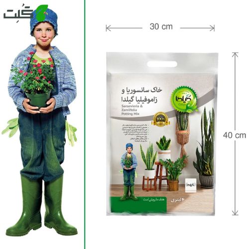 خاک سانسوریا گیلدا مدل SZ04 حجم 4 لیتر
