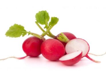 آشنایی با فواید و خواص تربچه برای بدن