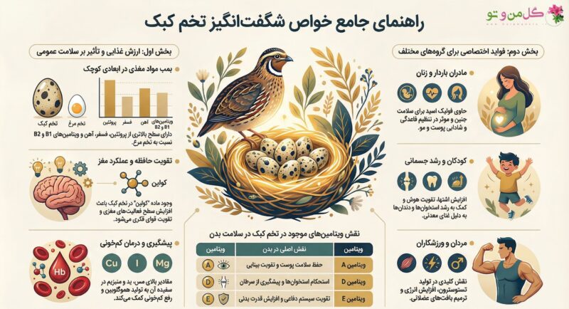 خواص تخم کبک؛ 9 خاصیت شگفت انگیز تخم کبک برای سلامتی