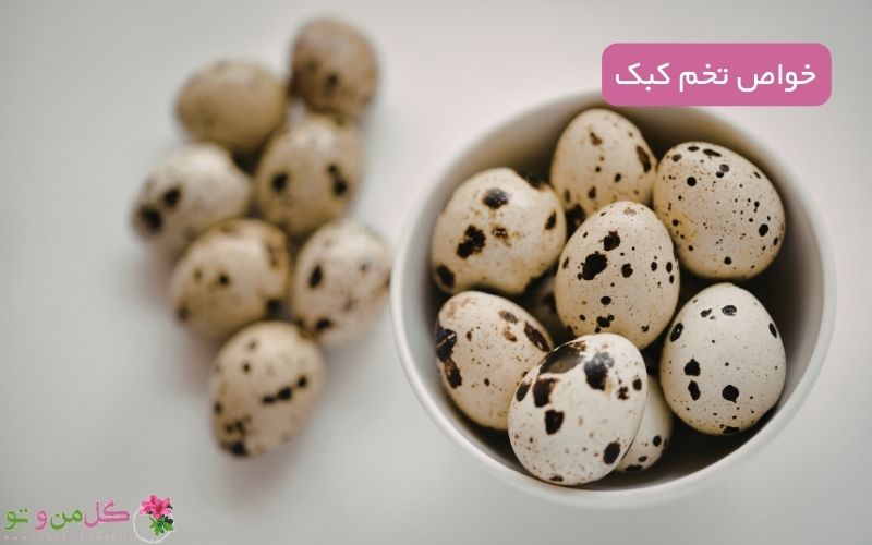 خواص تخم کبک